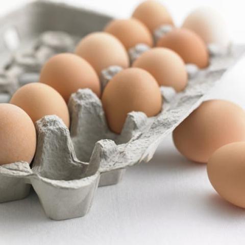 egg carton