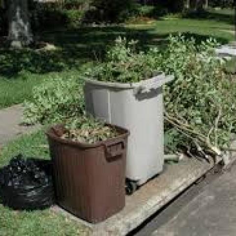Organics_Yard_Trimmings